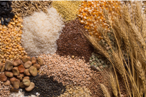 micro grains