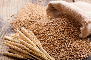 wheat
