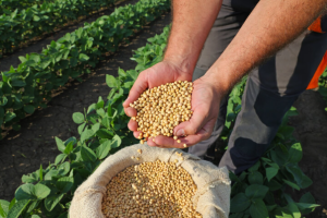 ⚠️ 5 Market Hazards Ahead – Soybean, Volatility, CPI & The Fed’s Blackout Shaking up Markets! 33 Soybean