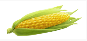 Corn