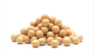 soybean 3