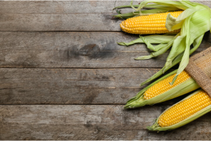 corn